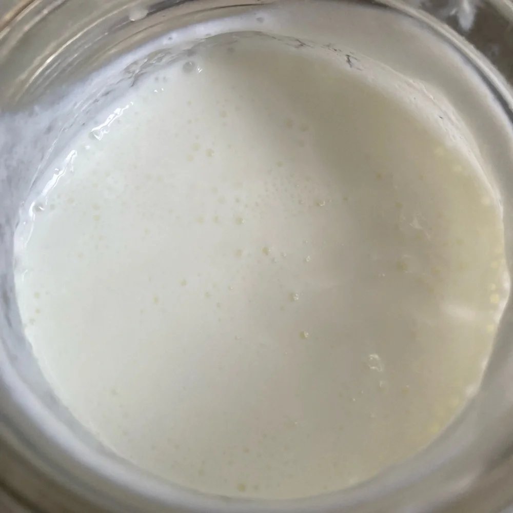 organic kefir organic healthy
